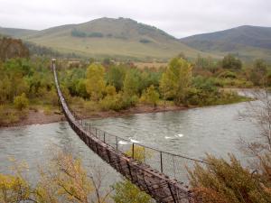 Алтай : Подвесной мост через Чарыш на краю села Чарышское