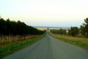 Дорога от села Сычевка к Белокурихе