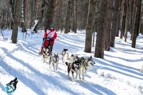 Зимний отдых на Алтае : Гонки на собачьих упряжках : По седому Алтаю-2020 : Лузянина Майя 6-8 собак, 50 км