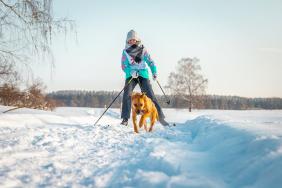 Зимний отдых на Алтае : Гонки на собачьих упряжках : По седому Алтаю-2020 : Гукова Кристина, 3 км