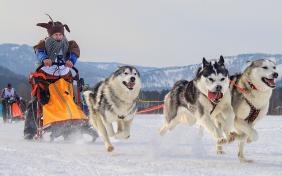 Зимний отдых на Алтае : Гонки на собачьих упряжках : По седому Алтаю-2020 : Маскарад на спринтерских гонках