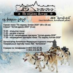 Зимний отдых на Алтае : Гонки на собачьих упряжках : По седому Алтаю-2020 
