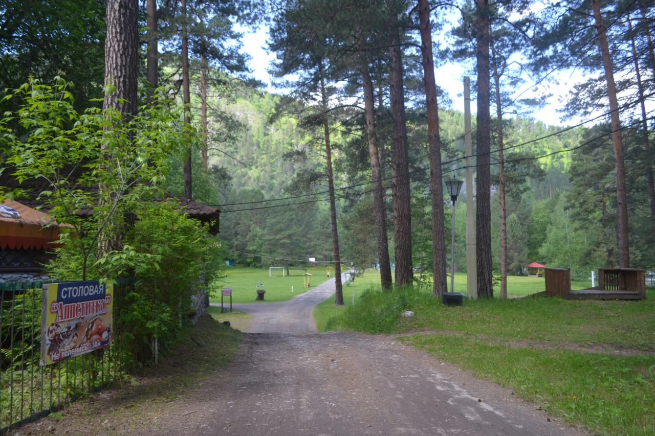 Дорога к реке Катунь