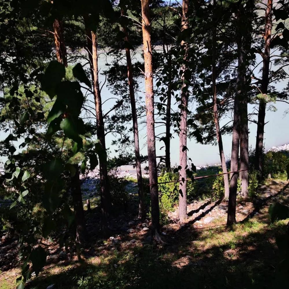 Катунь