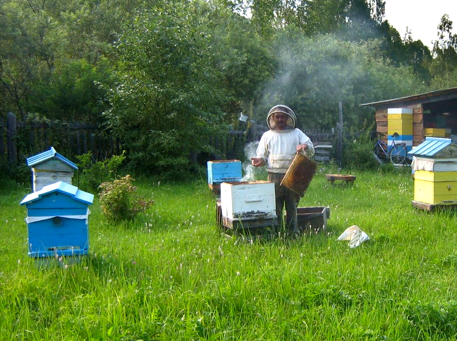 Пасека