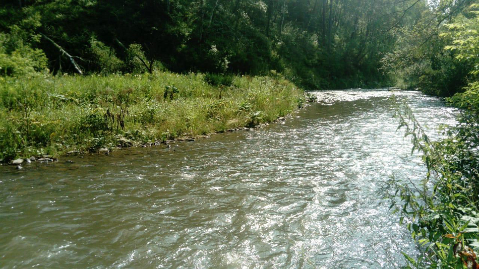 Река Куюм