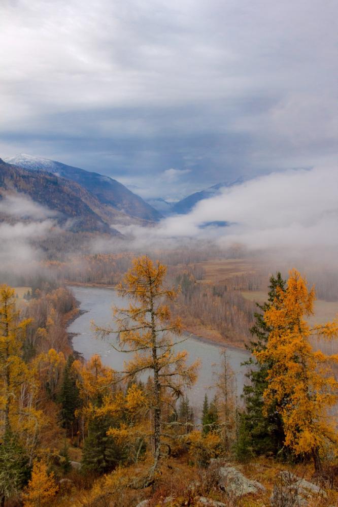 Катунь