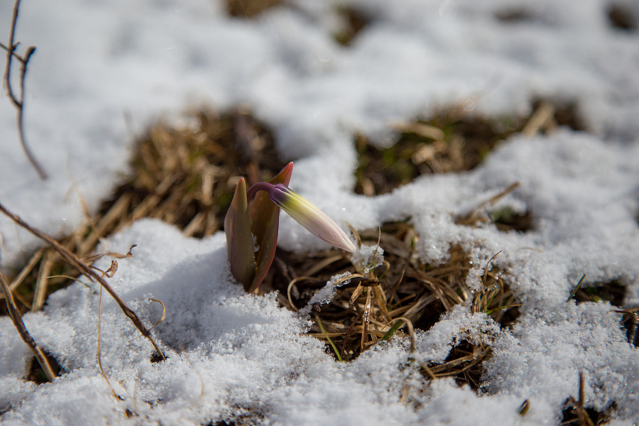 Активный поход «Когда просыпаются водопады» 