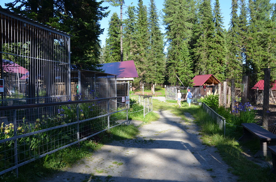 Зоопарк