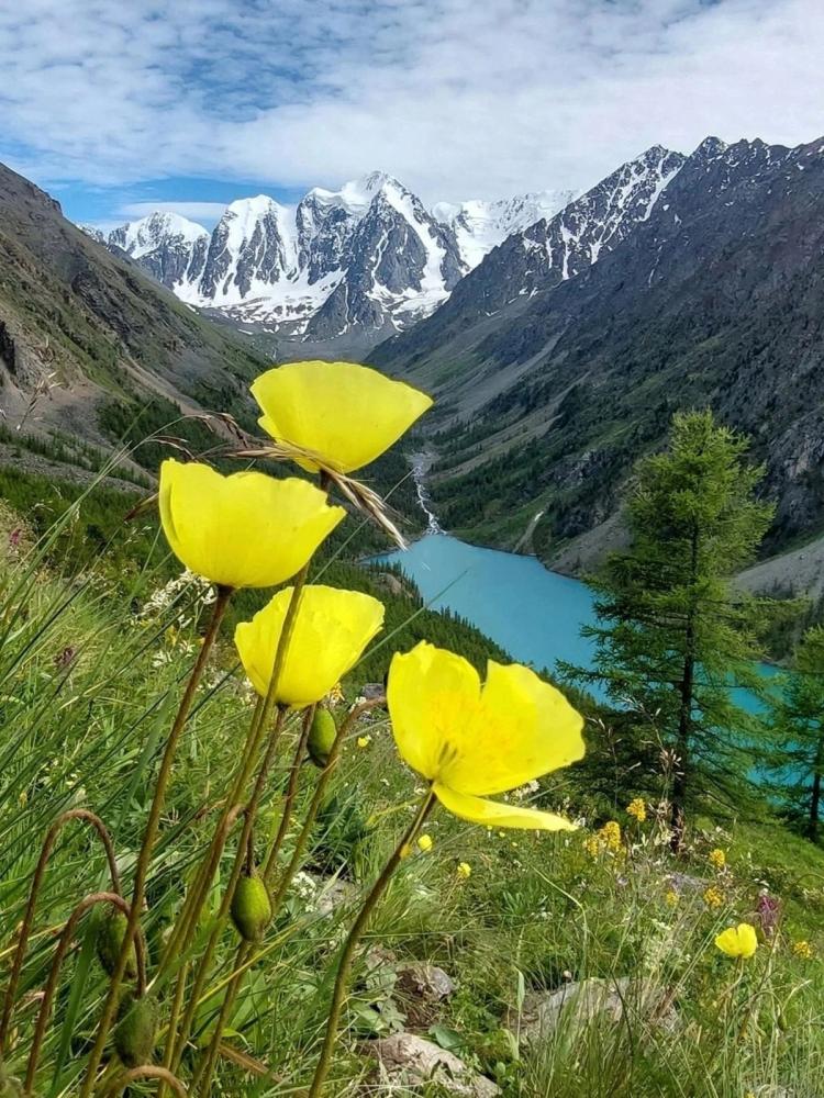 пейзаж