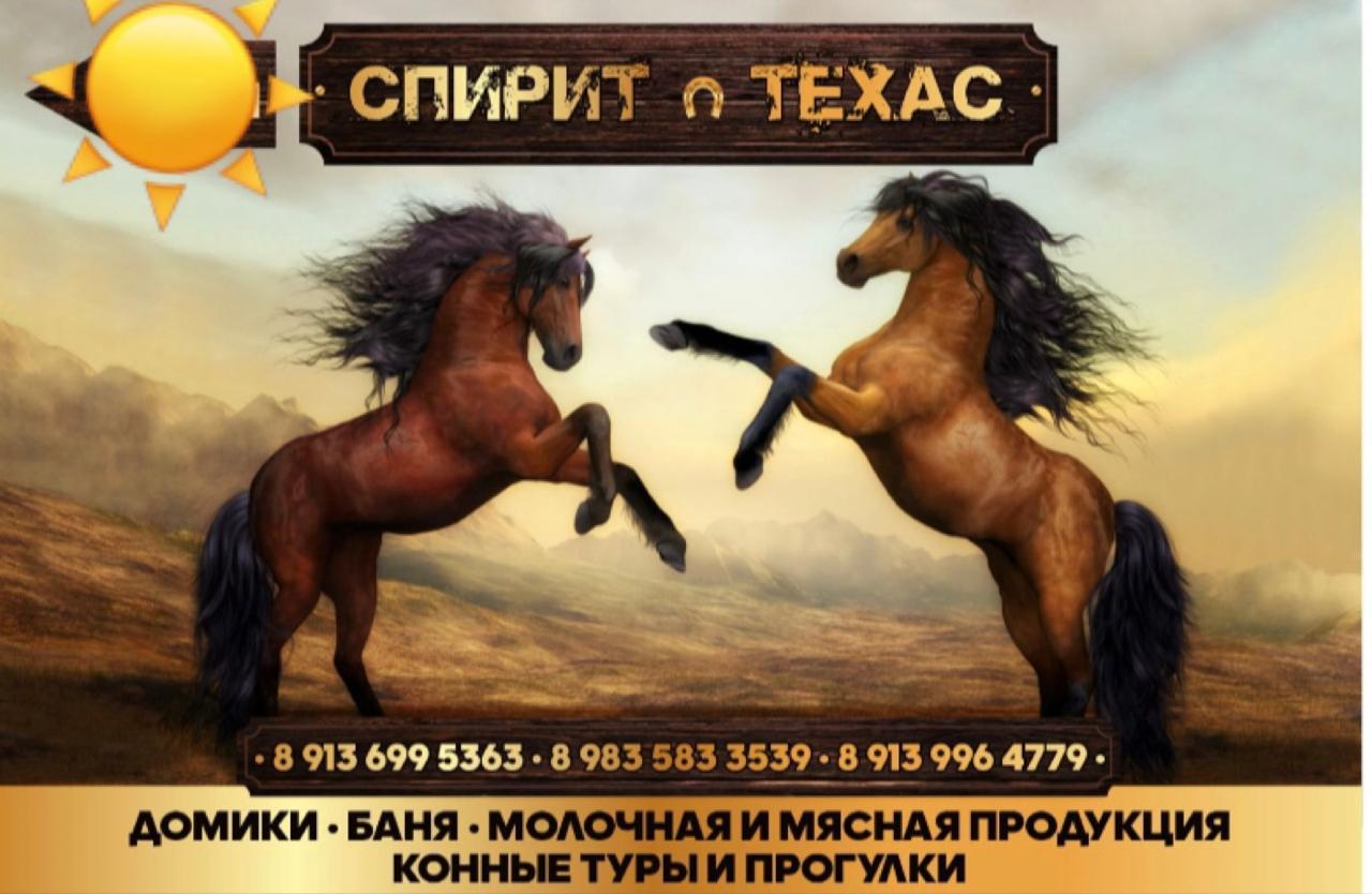 База отдыха "Спирит Техас" возле Чибита и Акташа в Горном Алтае