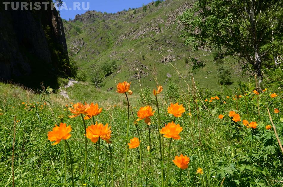Начало лета в урочище Че-Чкыш