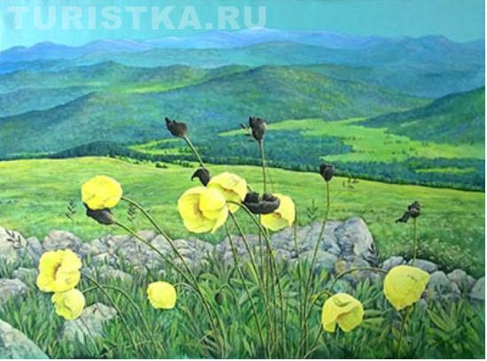 Маки
