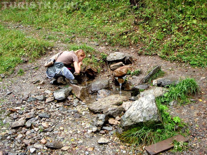 Серебряный источник