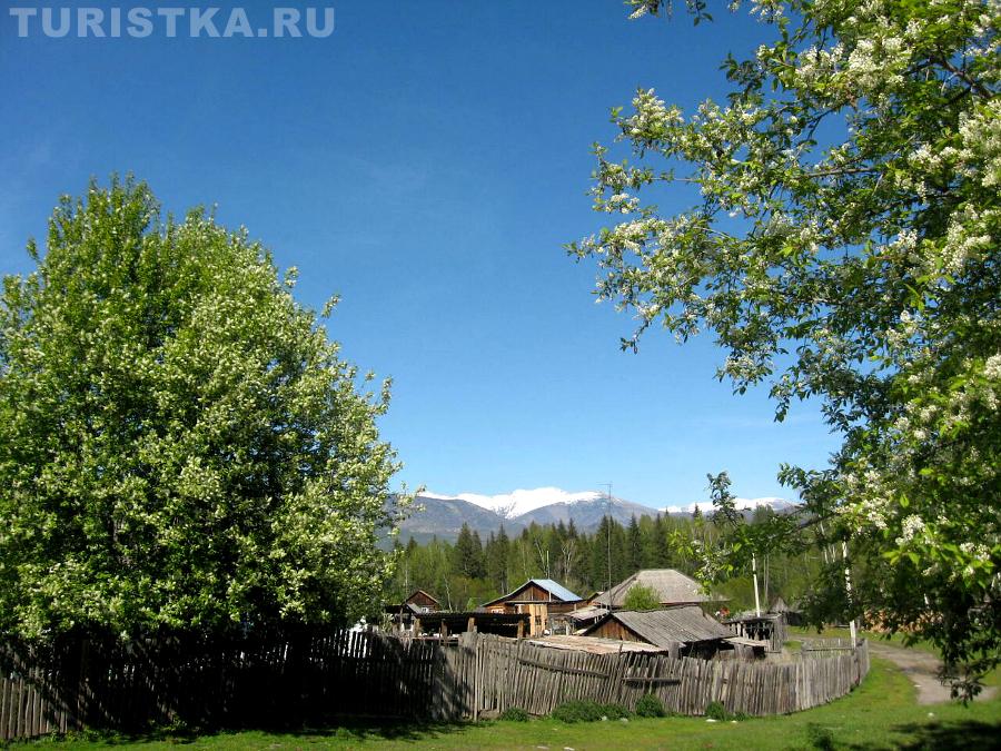 Село Мульта весной