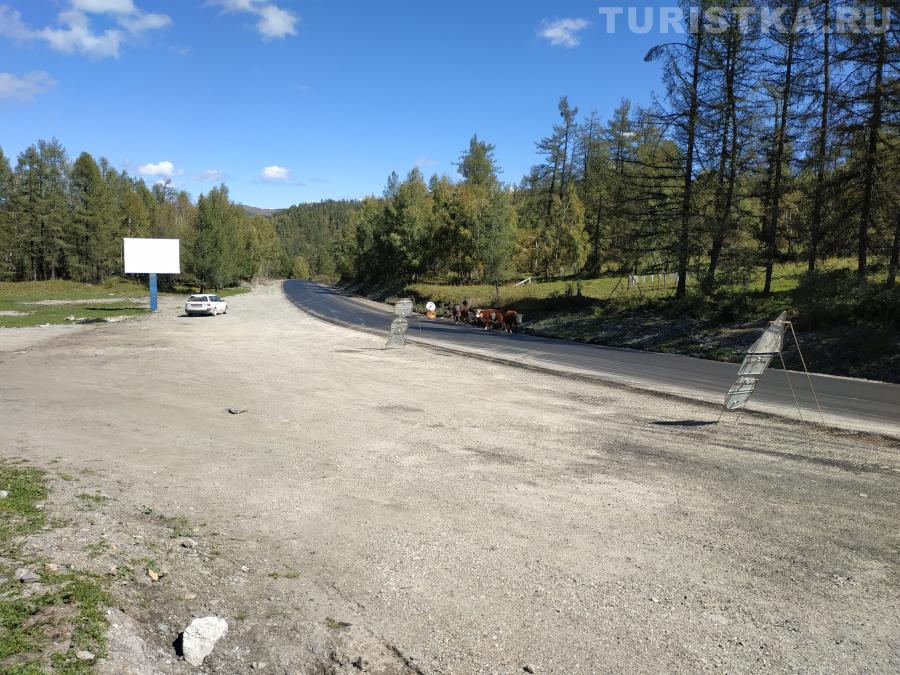 Чакырский перевал в Усть-Канском районе Республики Алтай