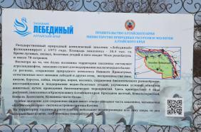 Лебединое озеро на Алтае