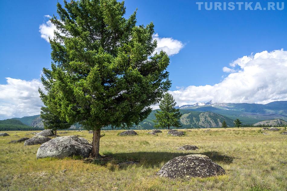 В степи Самаха