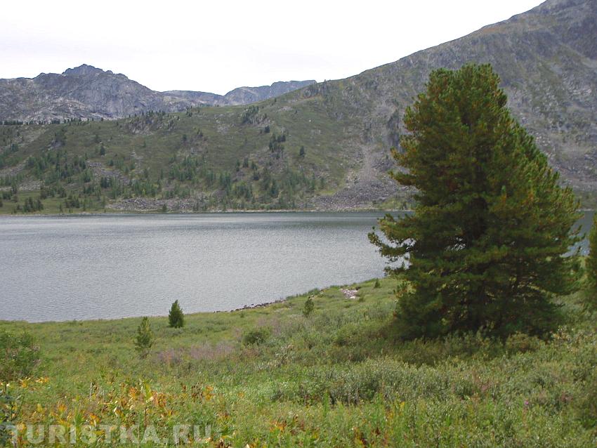 Берег