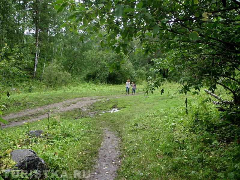 Вид с тропинки к водопаду, около развилки у реки
