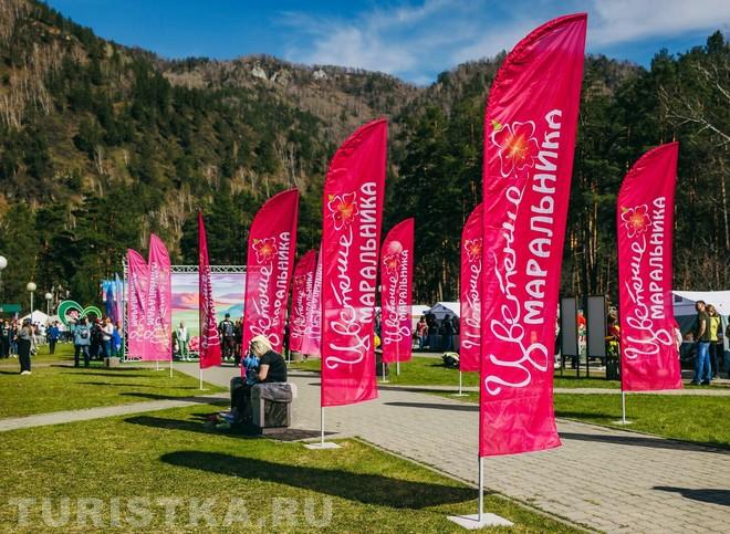 Фестиваль "Цветение маральника" на Бирюзовой Катуни