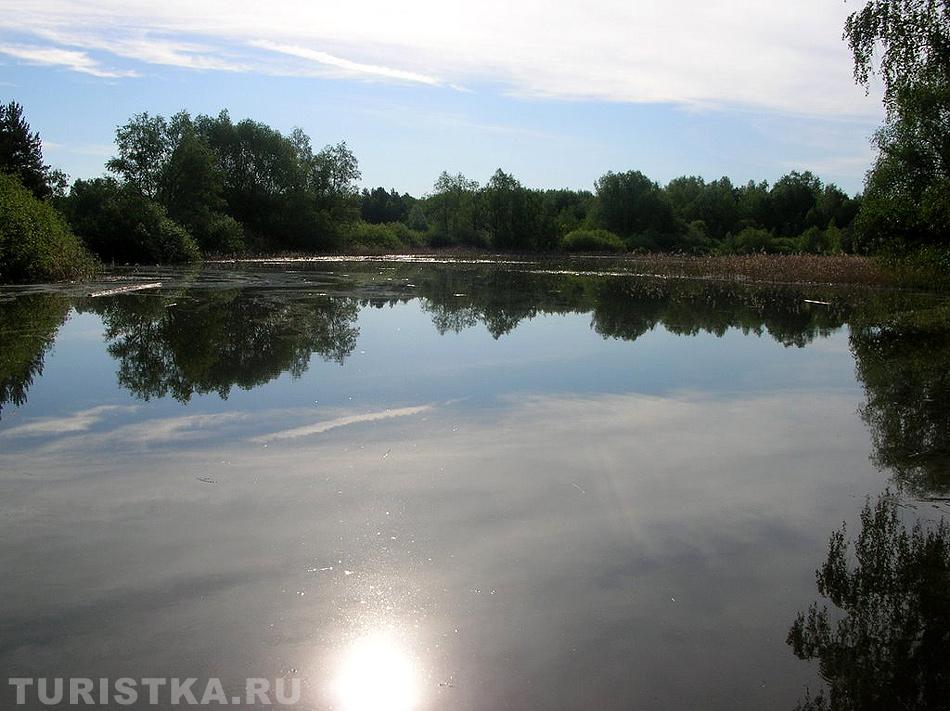 Берега Оби