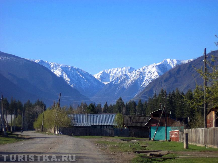 Вид на Катунские белки. Фото Иван Архипов