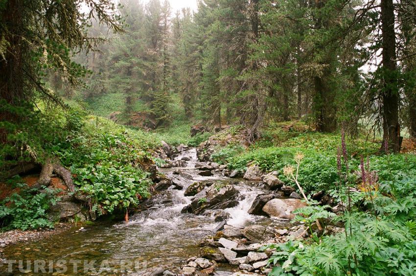 Река Кулядын
