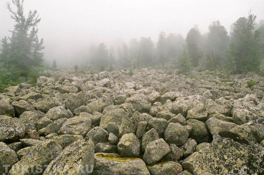 Курумник на Кулядыне