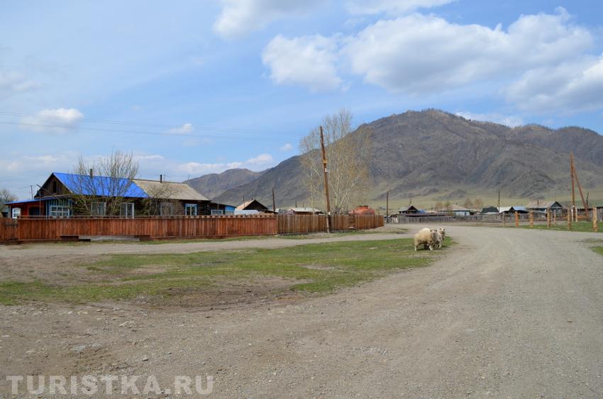 Улицы села