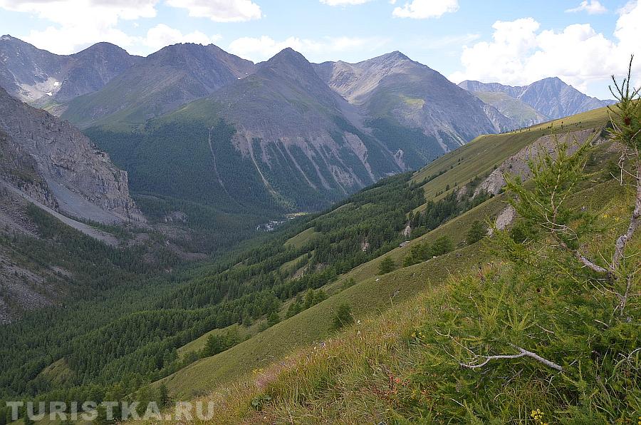 Вид с полочки в сторону реки Шавла