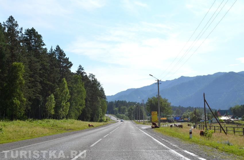 В селе