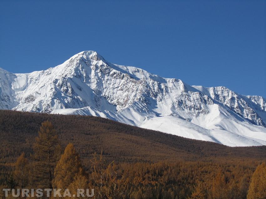 Вершины