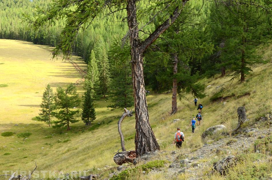 Спуск с верхней террасы в нижнюю долину