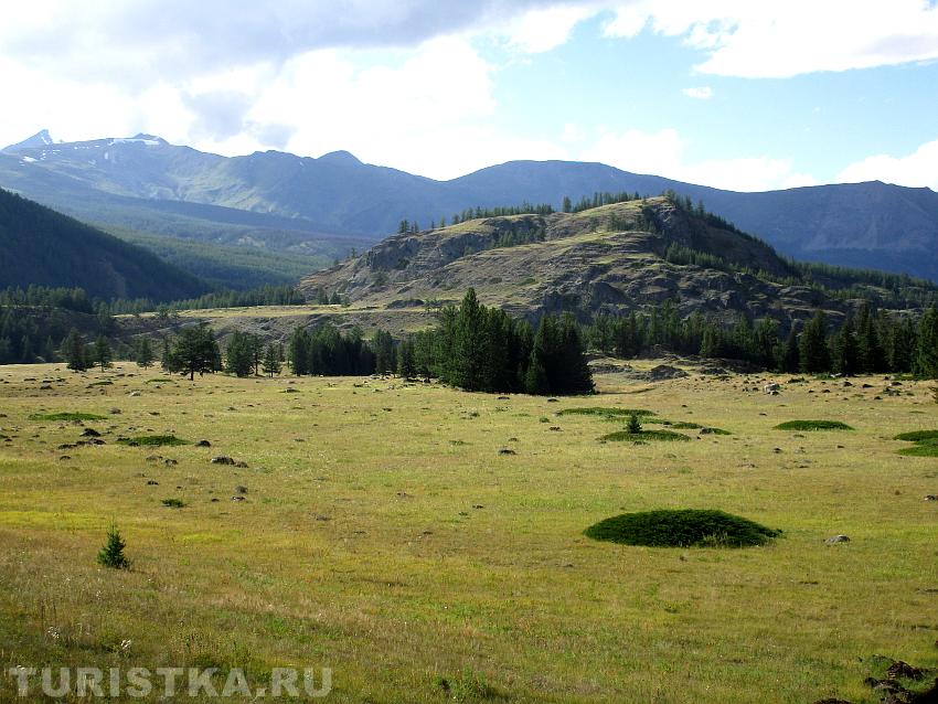 Круглые клумбы из можжевельника на нижней террасе