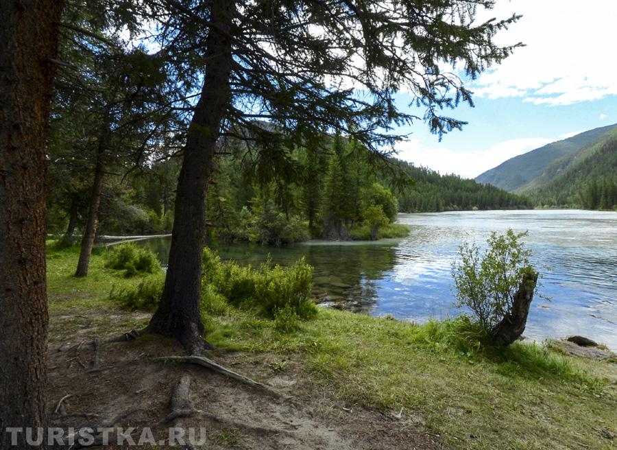Впадение речки Бара в Аргут