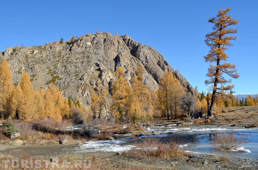 Осенью