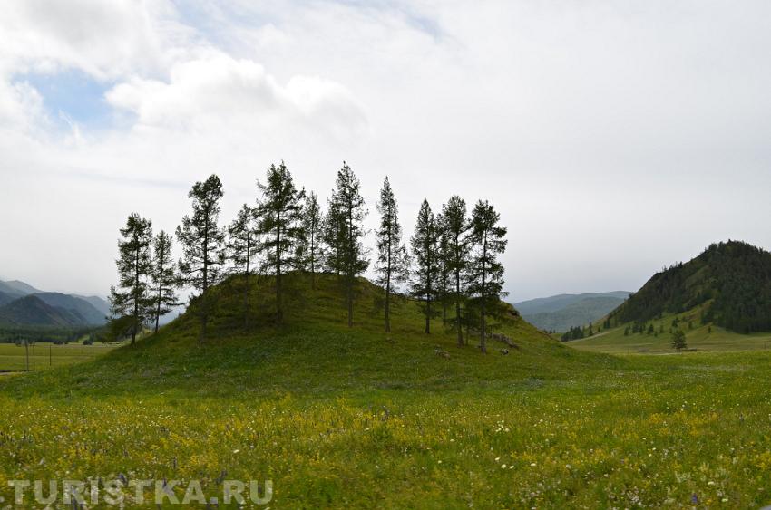 На территории парка
