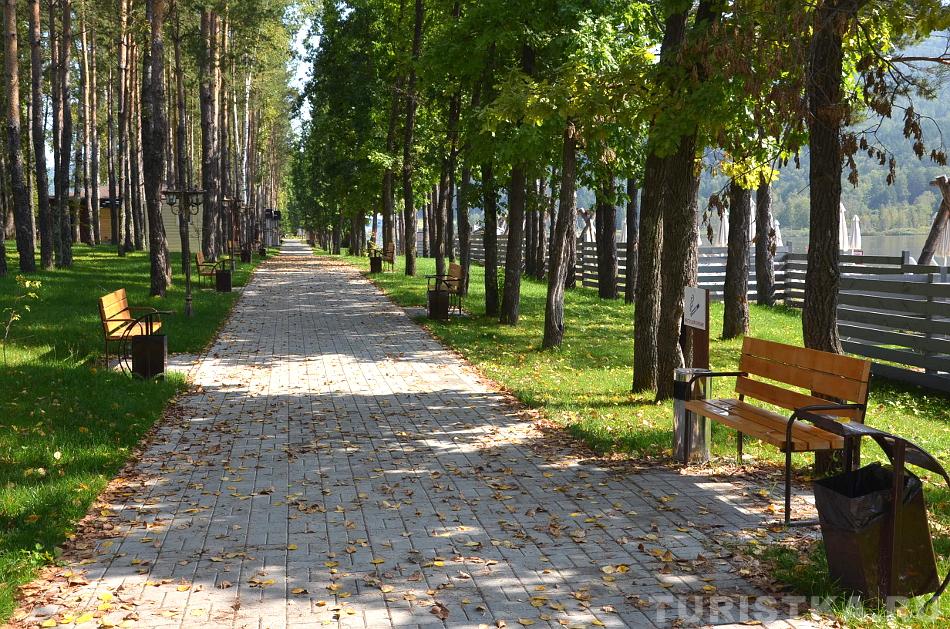 Дубовая аллея около озера