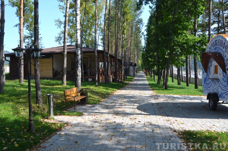 Аллея около озера Манжерок