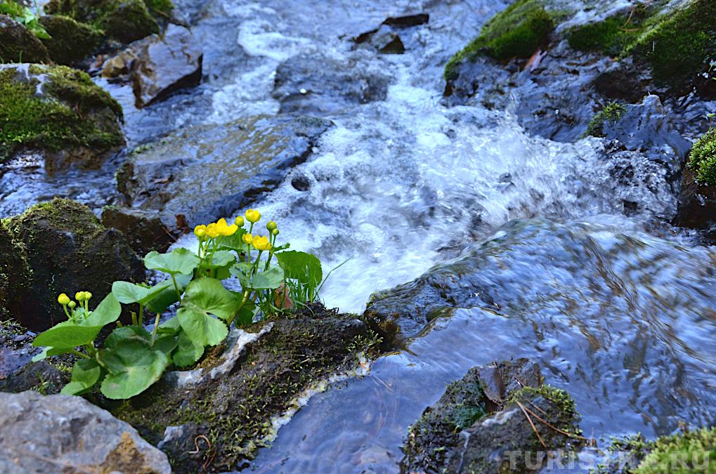 Вода на перекатах водопада