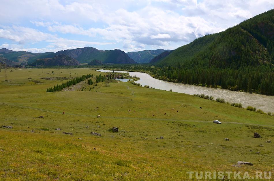 Чуя после того, как ушла от Чуйского тракта