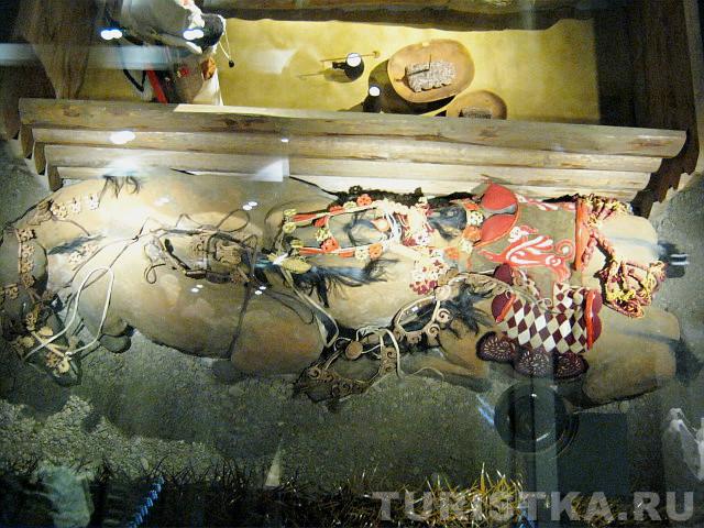 Захоронение пяти лошадей рядом со срубом