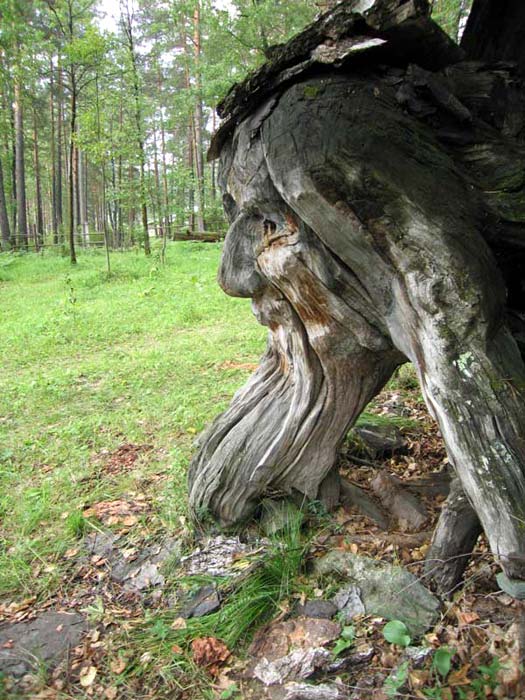 Село Аскат