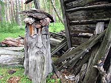 Горный Алтай : Село Аскат