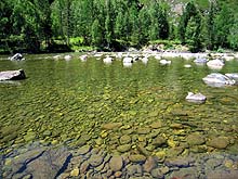 Горный Алтай : Река Кумир