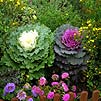 Ботанический сад
