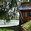 Берег Катуни